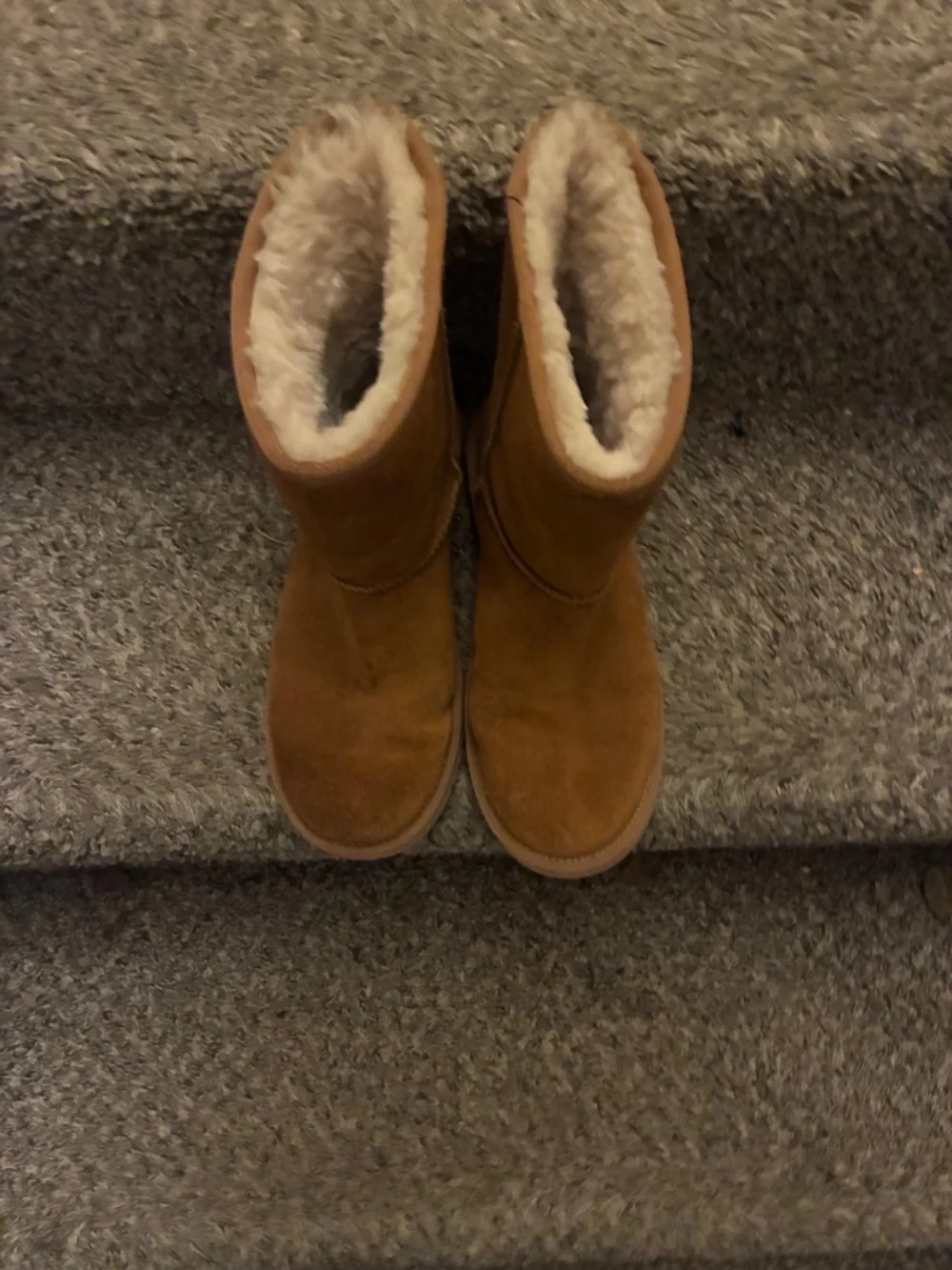Kookaburra ugg boots